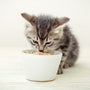 Sopa Nutritiva para Mascotas